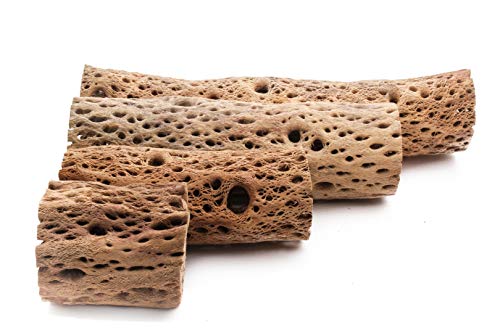 3, 6, 9, 12 Inch All Natural Teddy Bear Cholla Wood Extra Hollow Untreated Organic Aquarium Driftwood Decoration Chew Toy Shrimp Crab Cichlid Nano Tank Birds 1 or 5 Pieces (1 Piece, 9 inch) - size: 1 Piece, 9 inch
