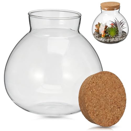 IMIKEYA Glass Terrarium with Cork Lid, Small Clear Plant Terrarium Jar for Succulent Moss and Fern, Micro Landscape Bottle for Home Garden Office Desktop Decoration
