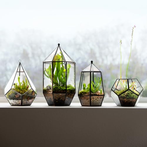SuperMoss (90402) Glass Terrarium – Elegant Indoor Gardening Décor, Ideal Gifts for Plant Lovers, Modern Home & Office Decoration, 7” x 7” x 10”, Teardrop