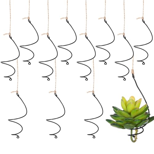 12 Set Hanging Air Plant Holder, Adjustable Air Plant Hanger with Jute Ropes Soilless Succulent Display Container Airplant Stand for Home Office Decor