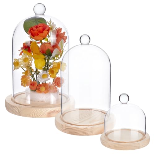 3 Pcs Glass Cloche Dome, Clear Decorative Bell Jar Tabletop Display Case with Wood Base and Globe Handle, for Fairy Lights Figurine Ornaments Plants Display Home Decor