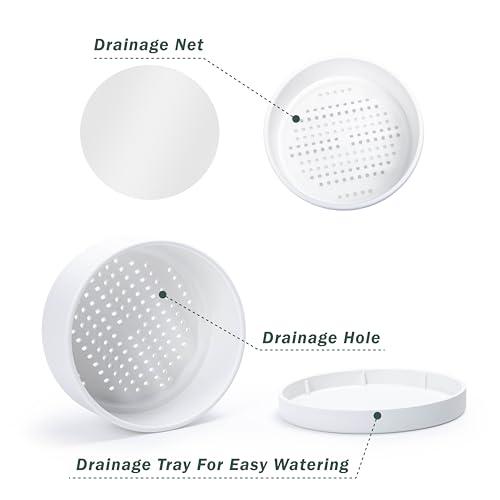 D'vine Dev 10 in Shallow Round Succulent Planter, White, 76-Z-A-2 | Wide Bowl Design, Thick-Walled Durable Construction, Enhanced Drainage, Detachable Saucer, Ideal for Succulent Arrangements - color: White, size: 10 Inch