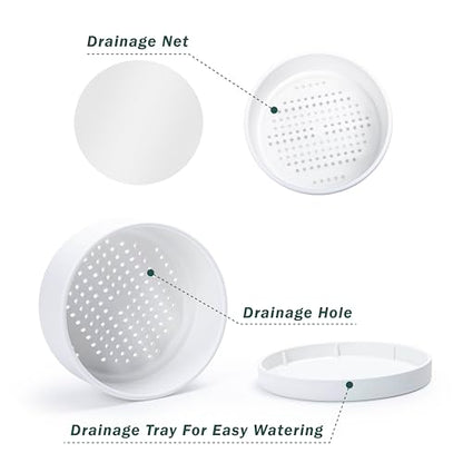 D'vine Dev 10 in Shallow Round Succulent Planter, White, 76-Z-A-2 | Wide Bowl Design, Thick-Walled Durable Construction, Enhanced Drainage, Detachable Saucer, Ideal for Succulent Arrangements - color: White, size: 10 Inch