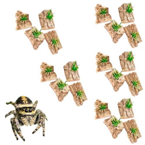 Tarantula Enclosure Decor Cork Bark Hide, 10 Items