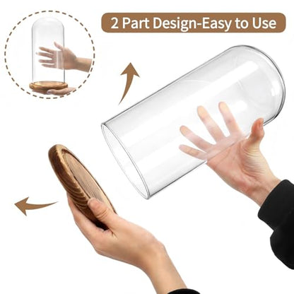 2 Pack Glass Cloche Display Dome, 10 Inch Large Decorative Glass Bell Jar, Clear Dome Showcase with Dark Brown Wooden Base, for Plants, Medals, Photos, Antique Collectibles, Mother's Day