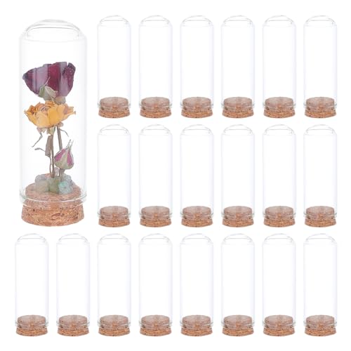 BENECREAT 20Pcs Dome Decorative Jars, 1.2x3.4inch Glass Display Dome Cloche Glass Bell Jar with Cork Base for Flower Storage, Specimens, Crafts Decorations - size: 1.2 x 3.4 inch (20 Pcs)