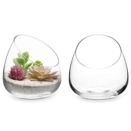 MyGift Clear Glass Air Plant Terrarium Jars, Mini Vase Set of 2 - size: Set of 2