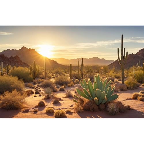 Reptile Habitat Background Sunset Desert Tank Decors Saguaro Cactus Arid Mountain Range Terrarium Background Cacti Sand Dunes Aquarium Background Desert Mountain Fish Tank Background 30x18in - color: Orange, size: 30(W)x18(H)in