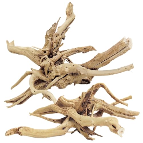 Tfwadmx Natural Driftwood for Aquarium, 11-13 inch Reptile Branches Terrarium Wood Aquarium Trunk Driftwood Tree Fish Tank Log Decoration Pack of 2 - size: Spiderwood（7-13 inch pack of 2）