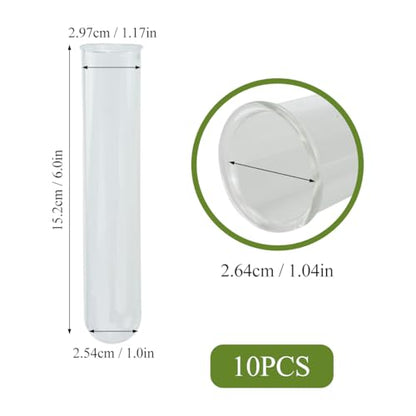 8 Pcs Glass Plant Propagation Test Tubes, Glass Tubes for Plants Plant Propagation Large Test Tube Tubes Hydroponic Test Tube for Hydroponic Flowers Home Office Desktop Decoration (15cm)