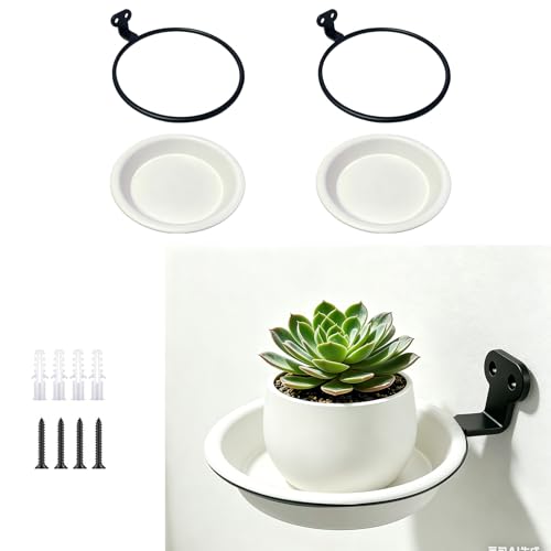 Wall Mounted Plant Holder 5in 2Pack with Saucers, Heavy Duty Rustproof Metal Wall Planters for Outdoor Indoor, Plant Wall Hanger Pot Bracket for Fence Deck Balcony Bird Feeder Succulents-White - color: White, size: 5inch 2Pack