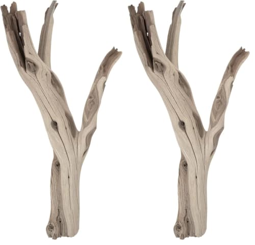 Koyal Wholesale 12” Driftwood Terrarium Decor, Clean California Manzanita Drift Wood Reptile Decor, Driftwood Decor for Home, Desert Reptile Supplies (Pack of 2) - size: 12" (Pack of 2)