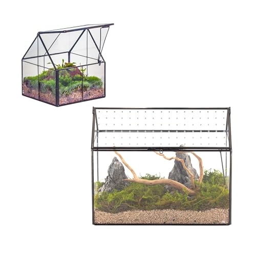 NCYP Glass Terrarium - Mini House Shape Terrarium with Lid, and House Shape Terrarium with Acrylic Lid, for Small Succulent Cacti, Ferns, Home Garden Decor