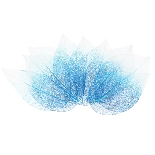 M METERXITY 100-Pack Skeleton Leaves, Natural Rubber Tree Dried Pressed Leaves Vein for Resin/DIY Crafts Card/Scrapbook/Wedding, Small Leaves Decorative [4-6cm, Dark and Light Blue] - color: Dark and Light Blue