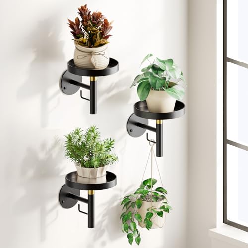 DELLAN Wall Plant Holder, 3 Pack Metal Stand, BlackGold - color: BlackGold