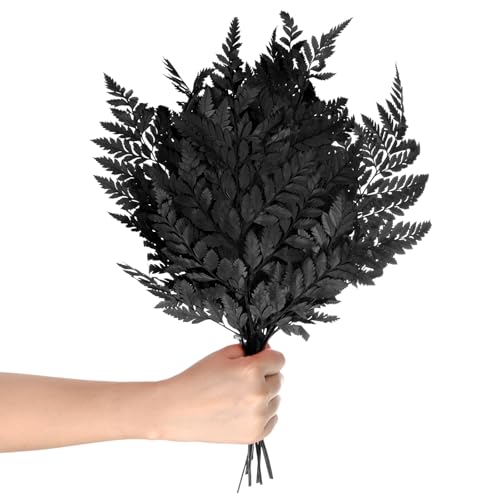 M METERXITY 10-Pack Fern, 15" Natural Dried Greenery with Stems for Wedding Garland Bouquet/Home Party/DIY Crafts Decors, Dried Plants [Black] - color: Black