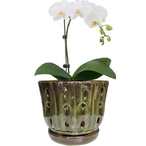 Ceramic Orchid Pots with Drainage Hole 6'' (mossgreen) | Orchid Planter,Orchid Ceramic Pot,Orchid Pots for Repotting - color: Mossgreen
