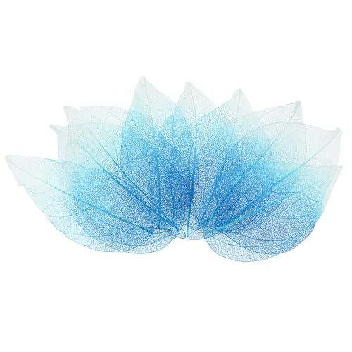 M METERXITY 100-Pack Skeleton Leaves, Natural Rubber Tree Dried Pressed Leaves Vein for Resin/DIY Crafts Card/Scrapbook/Wedding, Small Leaves Decorative [4-6cm, Sapphire Blue,Sky Blue] - color: Sapphire Blue,sky Blue