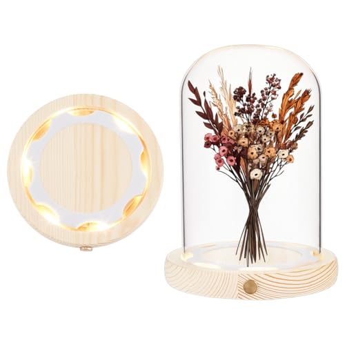 NBEADS Glass Dome Cloche with LED Light Base, High Transparency Display Dome Eternal Flower Glass Dome Cover for Centerpieces Plants Rocks Specimens Decorations Crafts, 4.94x6.7inch, Arch