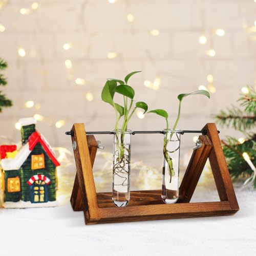 UKCOCO 5Pcs Glass Test Tube Vases 4.33 Inch Clear Propagation Tubes for Plant Cuttings Hydroponic Plant Holders Desktop Floral Arrangement for Home Office Decor
