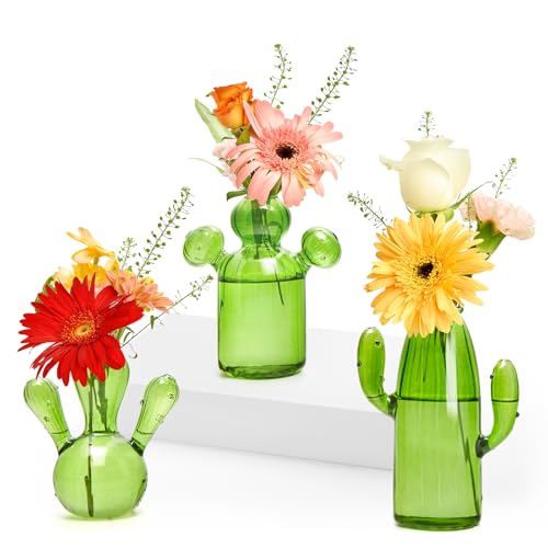 XXXFLOWER Cactus Plant Propagation Station 3 Cactus Vase Terrarium Jars - size: 3PCS Cactus Vase
