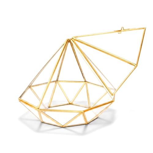 KRAFTSTORIES Glass Terrarium Planter with Door | Gold Diamond-Shaped Container | Indoor Tabletop Home, Garden & Office Decor (Terrarium Only)