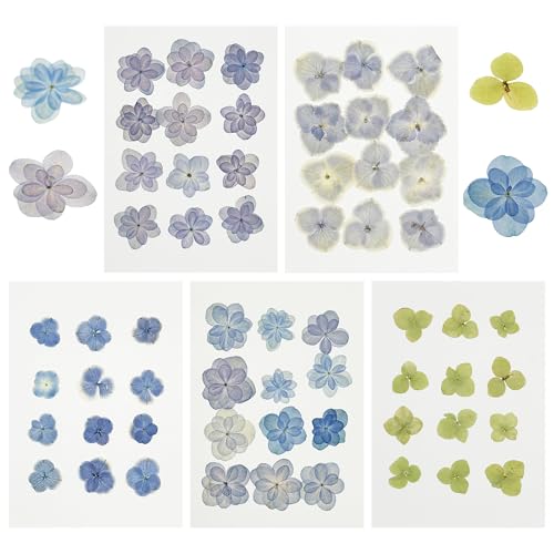 Cayway Natural Dried Pressed Flowers, Natural Dry Flowers Leaves for Art Crafts Resin, Scrapbooking Candles Soap Making DIY, 60 PCS Hydrangea - color: Blue-green-purple
