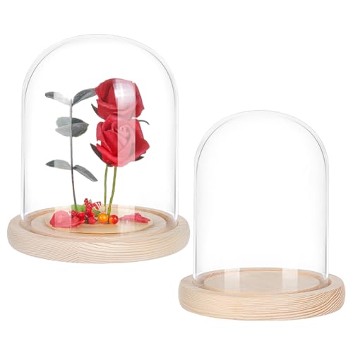 2 Pcs Cloche Glass Dome With Wood Base, 5.5"x6.5"/4.3"x5.3", Glass Cloche Dome Display with Handle For Cake, Plant, Wedding Party, Bell Jar Transparent