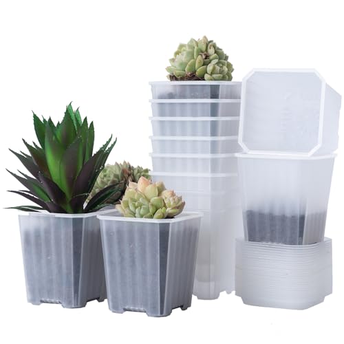 30Pcs 3 Inch Clear Nursery Pots with Saucers, Square Plastic Plant Pot | Thick Flower Planting Pots, Seedling Planter Starter Pots for Garden Outdoor - color: Transparent 02