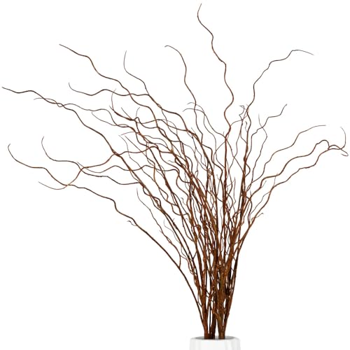 Artificial Plants Faux Greenery Eucalyptus Stems,Faux Branches for Vase Filler,Artificial Ficus Twig Branches Stems for Shop Garden Office Home Décor (3, Stems02) - color: Stems02
