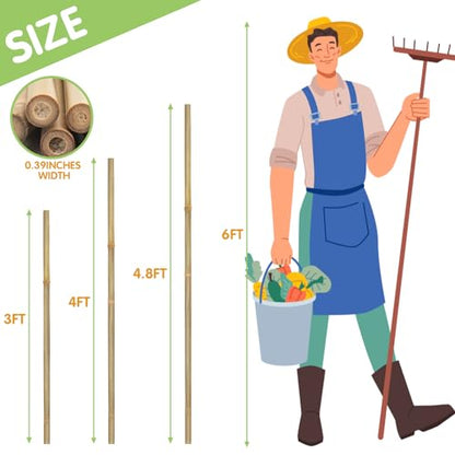 GAGINANG Natural Bamboo Garden Stakes, 3FT Trellis Plant Support 25Pcs | 3FT sturdy longer bamboo sticks for trellis, support tomato, vegetables, beans, trees and climbing plants indoor & outdoor. - size: 3Ft,Pack of 25