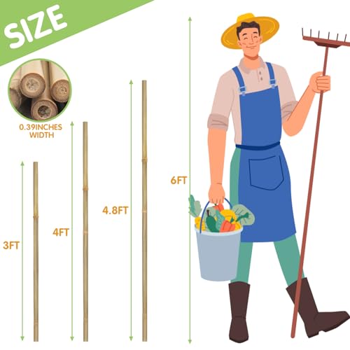 GAGINANG Natural Bamboo Garden Stakes, 4.8FT Trellis Plant Support 20Pcs | 4.8FT sturdy longer bamboo sticks for trellis, support tomato, vegetables, beans, trees and climbing plants indoor & outdoor. - size: 4.8Ft,Pack of 20
