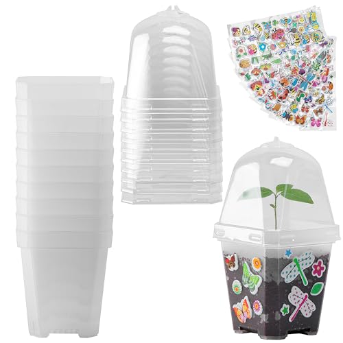 EBaokuup 10 Pack 3 Inch Clear Plant Nursery Pots with Humidity Domes | Reusable Plastic Gardening Pot with Printed Labels, Small Seed Starting Pots for Seedlings Vegetables Succulents Cuttings - color: 10pcs-color, size: 3 Inch