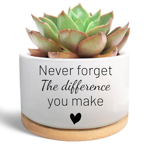 Succulent Plant Pot, Thank You Gifts for Coworker (Plants Not Included) | Funny Cactus Flower Planter, Going Away Goodbye Appreciation Gifts for Teacher Women Men Friend Boss Manager - style: Never forget