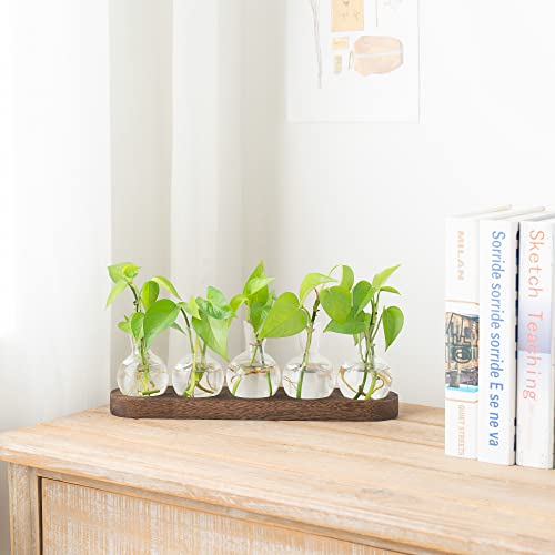 Mkono Plant Terrarium with Wooden Stand, Wall Hanging Glass Planter Desktop Plant Propagation Vase with Metal Swivel Retro Rack for Hydroponics Plants Home Office Decor