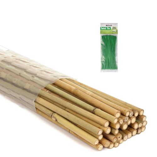 6 Ft Bamboo Stakes with 100 Twist Ties Natural Bamboo Garden Stakes for Dahlias Cucumber Grapes Pole Beans Trees Potted Dahlia Flowers and Climbing Plants - Pack of 20 - size: 6 FT -20 PACK & Ties