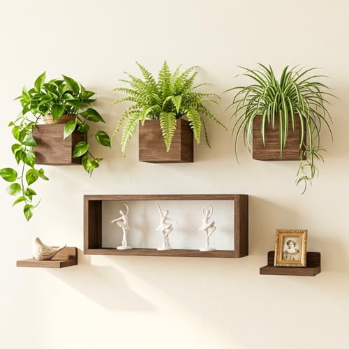 LaLaGreen Wood Planter Box for Indoor Plants (6 Pack) Hanging Wall Planters - size: 6-pc Set B