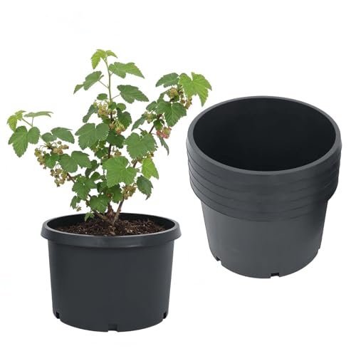 5-Pack 8.4 Gallon Round Planter Nursery Pots, Flower Plant Container Injection Molded Plastic Nursery Pot Gardening Pots for Indoor Outdoor Vegetables, Succulents, Black - color: Black, size: Round-10Gallon-5pcs