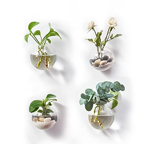 4 Pack Hanging Terrarium Glass Wall Planters Globe Containers for Air Plants, Succulents, Propagating Hydroponics Plants (4" with hangers 4pcs)