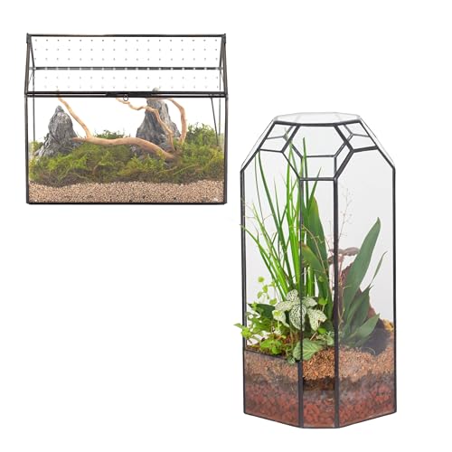 NCYP Glass Terrarium - Glass House Shape Terrarium Planter with Acrylic Lid, and Open Glass Terrarium, for Small Succulent Cacti, Ferns, Indoor Home Decor (No Plants)