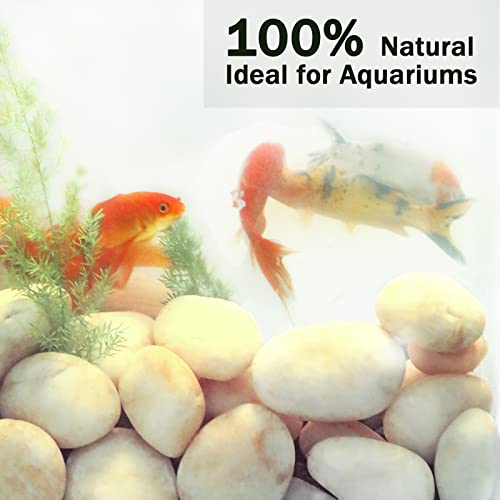 11LB Stones Pebbles River Rocks, 100% Natural Hand-Picked Premium Decorative Pebbles, Ideal for Garden Landscaping, Home Decor, Aquariums, Painting, Crafting and Gifts, Cream White - size: 11 Pounds, style: Cream White