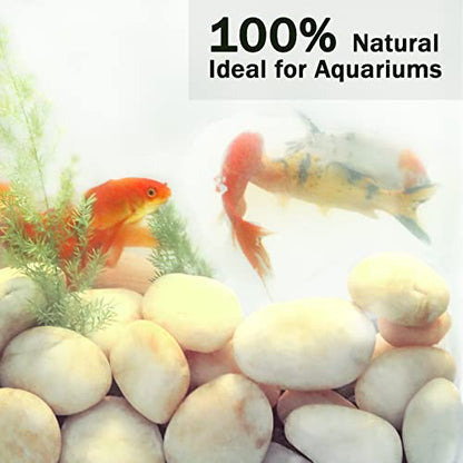 11LB Stones Pebbles River Rocks, 100% Natural Hand-Picked Premium Decorative Pebbles, Ideal for Garden Landscaping, Home Decor, Aquariums, Painting, Crafting and Gifts, Cream White - size: 11 Pounds, style: Cream White