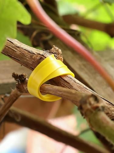 3Rolls Nylon Plant Ties Reusable Self Adhesive Plant Fastener Tape for Support Garden Supplies,200Ccm (Yellow) - color: Yellow