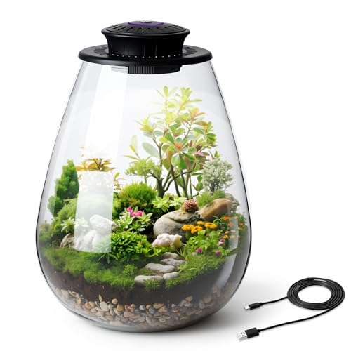 Glass Terrarium with Grow Light, 6.7"x8.7" for Succulent Moss