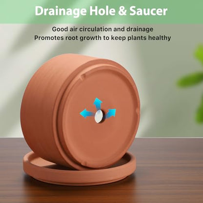 JUXYES 6 Inch Shallow Terracotta Pots with Holes and Saucers for Succulents | Built-in Drainage Hole, Wide Shallow Planter Clay Flower Pots for Indoor & Outdoor, Planter for Succulent, Cacti, Bonsai - size: 6 Inches
