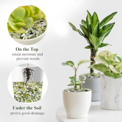FANTIAN Jade Pebbles for Indoor Plants,1/4 Inch (3-6 MM) Polished Green Pea Gravel Small Rocks for Plants, Succulents, Cactus, Vases, Terrarium - size: 1 pound, style: Jade