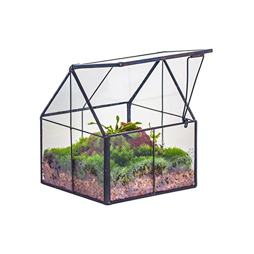 NCYP Mini Glass Terrarium with Lid - 4.25" x 4.25" x 4.92" House Shape Close Geometric Planter Pot for Mini Succulents Plant, Moss, Sundew - Handmade, Home Garden Office Decor, Black (Terrarium Only) - size: 4.25x4.25x4.92 inches
