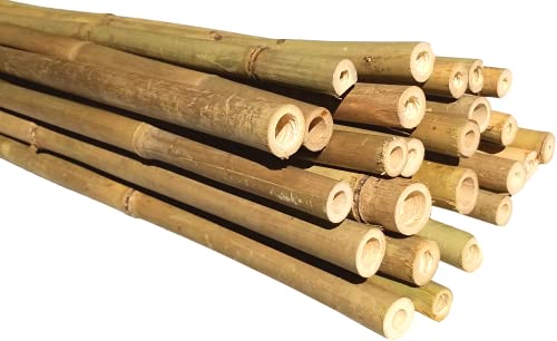 Natural Bamboo Poles, Eco-Friendly Plant Support Garden Stakes 8ft Long, Diameter of 3/4" (25-Count) - size: 8 ft, 3/4" Diameter (25-Count)
