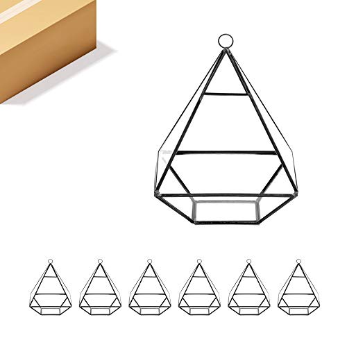 WGV Hanging Geometric Planter Terrarium Bulk Width 6" Height 8" Clear Glass Black Frame DIY Succulent air Plant Miniature Fairy Garden Windowsill Decor Raised Pyramid 6 Pieces - color: Black (1 Case), size: Wide Geo-Pylon