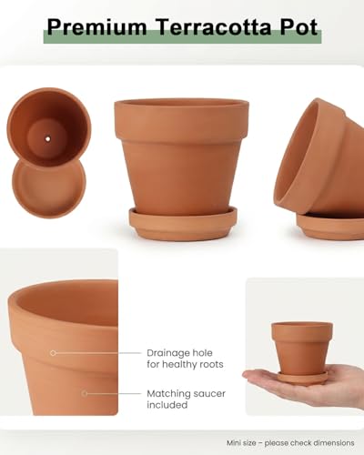 Riseuvo 4 Inch Terracotta Pots with Saucer – 6 Pack Small Clay Flower Pots with Drainage Hole for Succulents, Herbs, Indoor & Outdoor Plants, Wedding Favors - size: 4 inch
